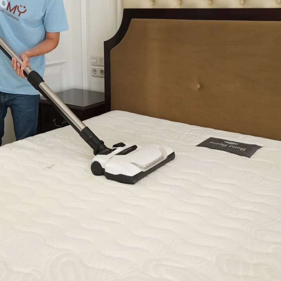 Homy professional vacuum cleaning a mattress