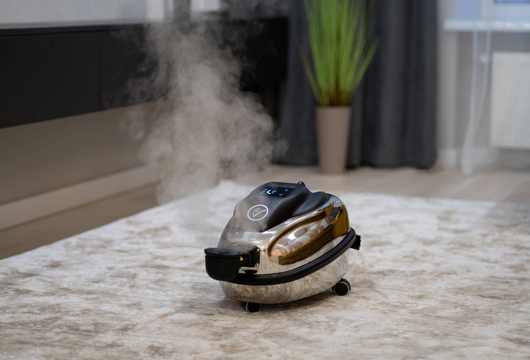 Professional carpet cleaning service