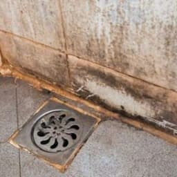 Deep vacuum steam cleaning lantai rumah